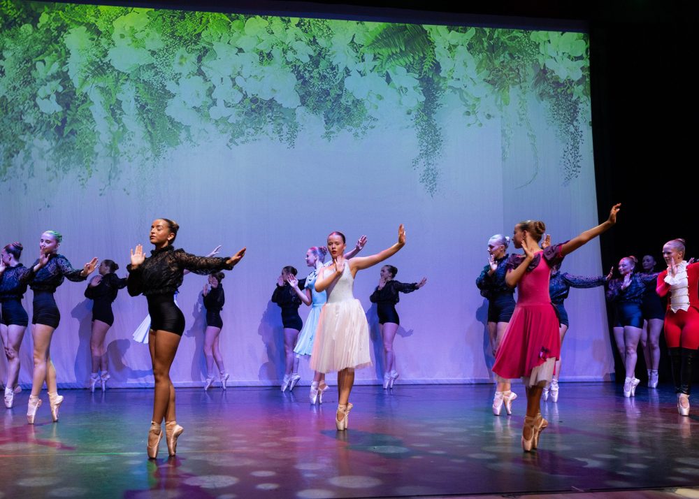 Ballet Pointe